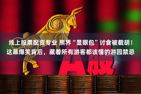线上股票配资专业 熊界“显眼包”讨食被截胡！这幕爆笑背后，藏着所有游客都该懂的游园禁忌